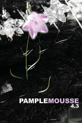 Cover image for Pamplemousse 4.3