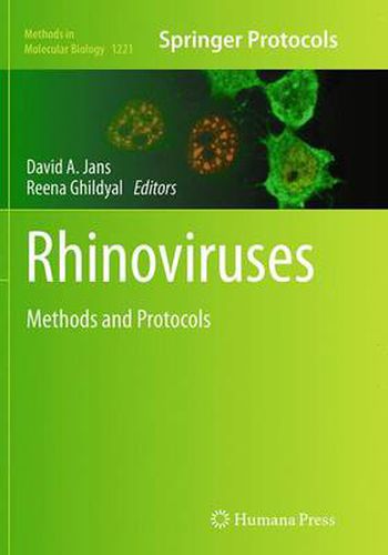 Cover image for Rhinoviruses: Methods and Protocols