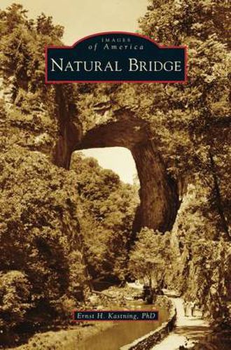 Cover image for Natural Bridge