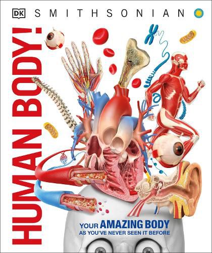 Cover image for Knowledge Encyclopedia Human Body!