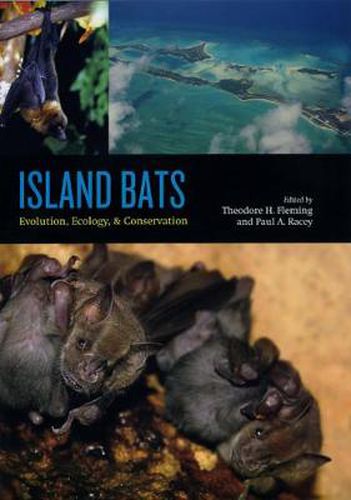 Cover image for Island Bats: Ecology, Evolution, and Conservation