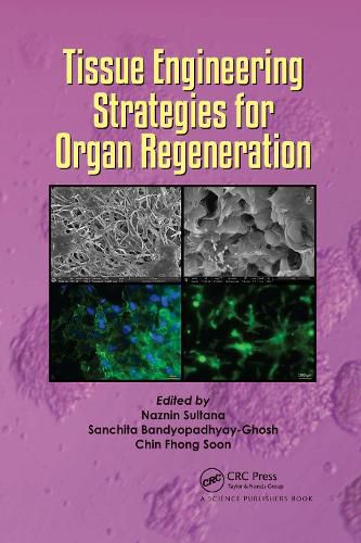 Cover image for Tissue Engineering Strategies for Organ Regeneration