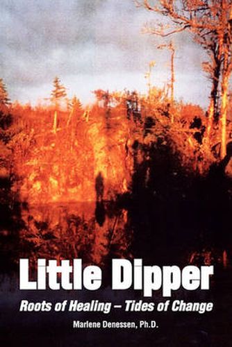 Cover image for Little Dipper