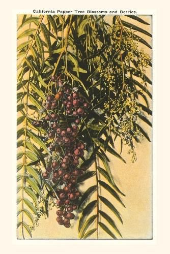 Cover image for The Vintage Journal California Pepper Blossoms and Berries