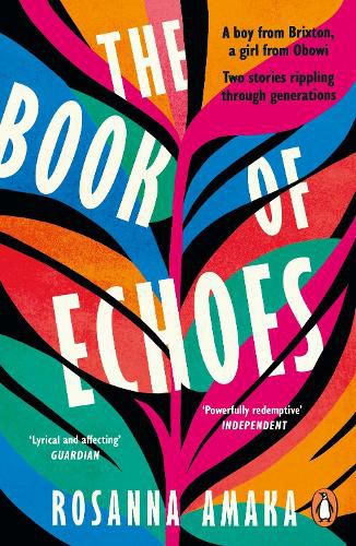 Cover image for The Book Of Echoes: An astonishing debut. 'Impassioned. Lyrical and affecting' GUARDIAN