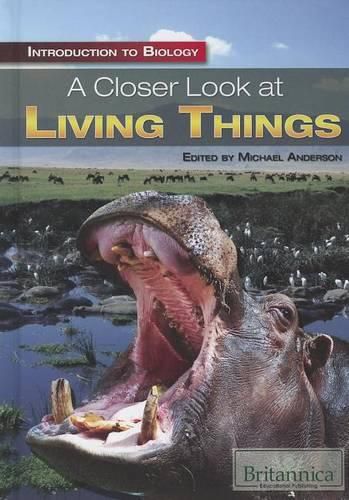 Cover image for A Closer Look at Living Things