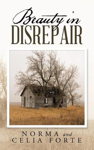 Cover image for Beauty in Disrepair