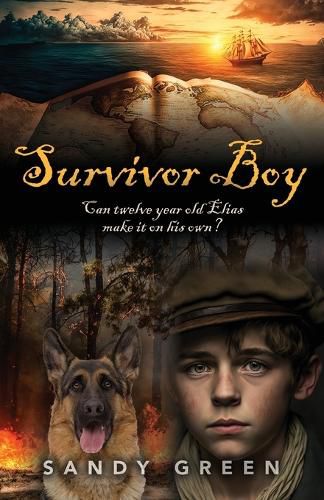Cover image for Survivor Boy