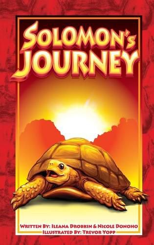 Cover image for Solomon's Journey