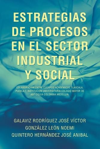 Cover image for Estrategias de Procesos En El Sector Industrial Y Social