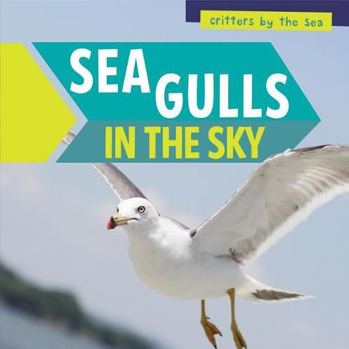 Cover image for Sea Gulls in the Sky