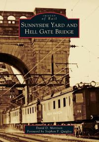 Cover image for Sunnyside Yard and Hell Gate Bridge