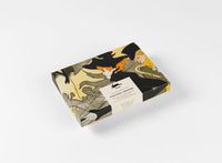 Cover image for Toulouse-Lautrec: Correspondence Set