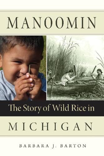 Cover image for Manoomin: The Story of Wild Rice in Michigan