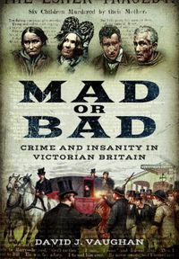 Cover image for Mad or Bad: Crime and Insanity in Victorian Britain