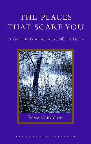 Cover image for The Places That Scare You: A Guide to Fearlessness in Difficult Times
