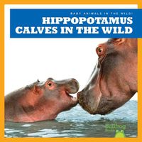 Cover image for Hippopotamus Calves in the Wild