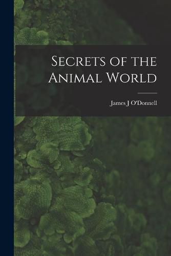 Cover image for Secrets of the Animal World