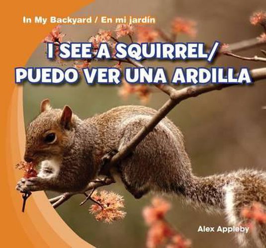 I See A Squirrel / Puedo Ver una Ardilla