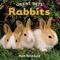 Cover image for Rabbits