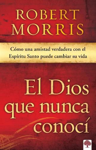 Cover image for El Dios Que Nunca Conoci: Como Una Amistad Verdadera Con El Espiritu Santo Puede Cambiar Su Vida