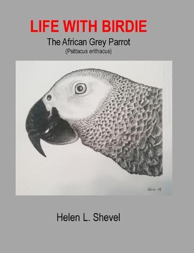 Cover image for Life with Birdie, The African Grey Parrot