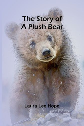 The Story of a Plush Bear