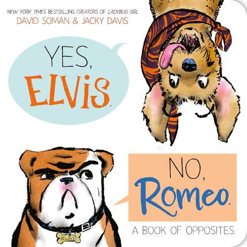 Cover image for Yes, Elvis. No, Romeo.