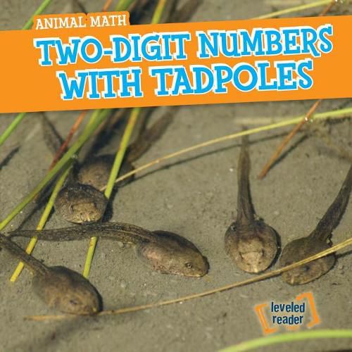 Cover image for Two-Digit Numbers with Tadpoles