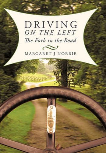 Cover image for Driving on the Left