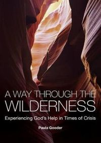 Cover image for A Way Through the Wilderness: Experiencing God's Help in Times of Crisis