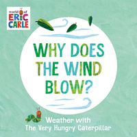 Cover image for Why Does the Wind Blow?