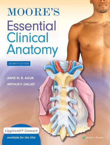 Cover image for Moore's Essential Clinical Anatomy 7e Lippincott Connect Print Book and Digital Access Card Package