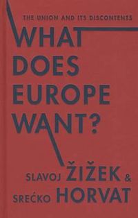Cover image for What Does Europe Want?: The Union and Its Discontents