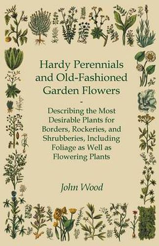 Cover image for Hardy Perennials And Old-Fashioned Garden Flowers - Describing The Most Desirable Plants For Borders, Rockeries, And Shrubberies, Including Foliage As Well As Flowering Plants