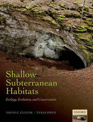 Cover image for Shallow Subterranean Habitats: Ecology, Evolution, and Conservation