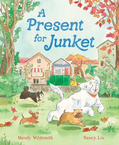 Cover image for A Present for Junket