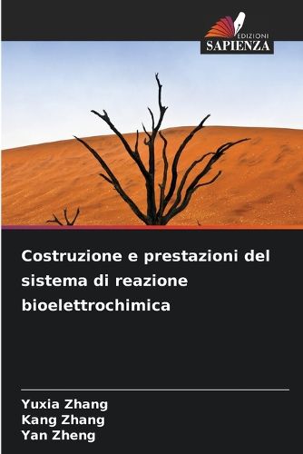 Cover image for Costruzione e prestazioni del sistema di reazione bioelettrochimica