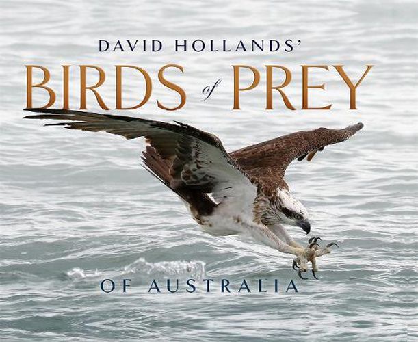 David Hollands' Birds of Prey Of Australia