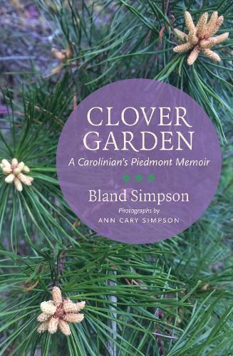 Cover image for Clover Garden