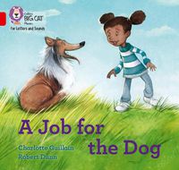 Cover image for A Job for the Dog: Band 02b/Red B