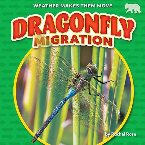 Dragonfly Migration