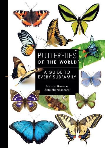 Cover image for Butterflies of the World