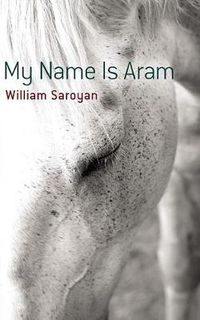 Cover image for My Name Is Aram