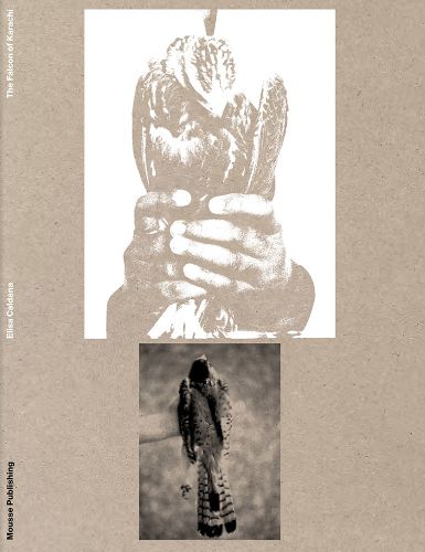 Cover image for Elisa Caldana - The Falcon of Karachi