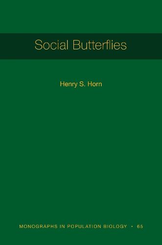 Social Butterflies