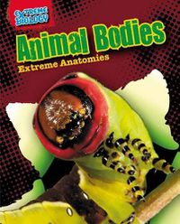 Cover image for Animal Bodies: Extreme Anatomies