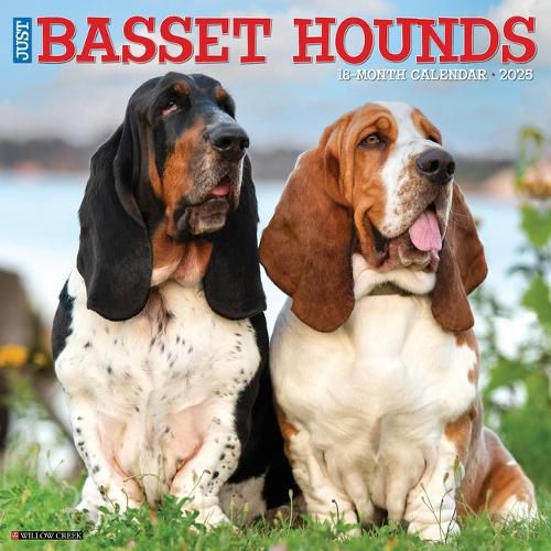 Cover image for Basset Hounds 2026 12 X 12 Wall Calendar