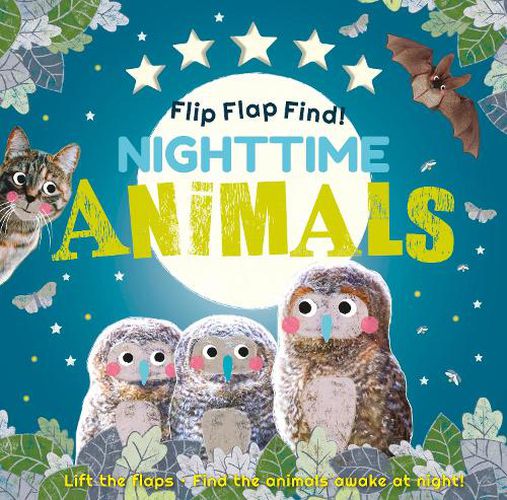 Cover image for Flip Flap Find! Night-time Animals: Lift the flaps. Find the animals awake at night!