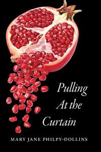 Cover image for Pulling At the Curtain